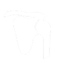 Shoulder Arthroscopy
