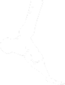 Foot & Ankle Arthroscopy