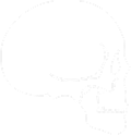 Cranial And Maxillofacial