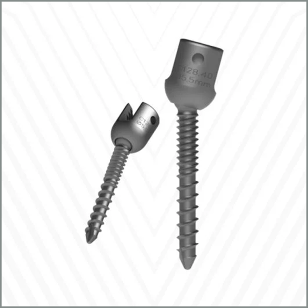 Dual Threaded Polyaxial Screw