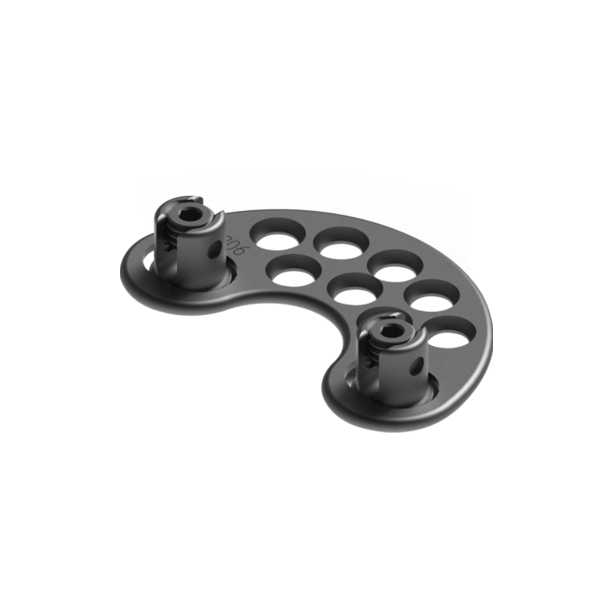 Adjustable Occipital Plate