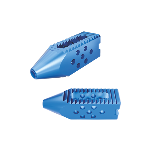 Horizon-TK : Trans-Kambin Lumbar Interbody Fusion Cage
