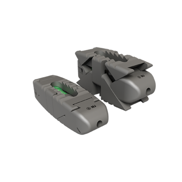 Horizon-X : Expandable PLIF Cage