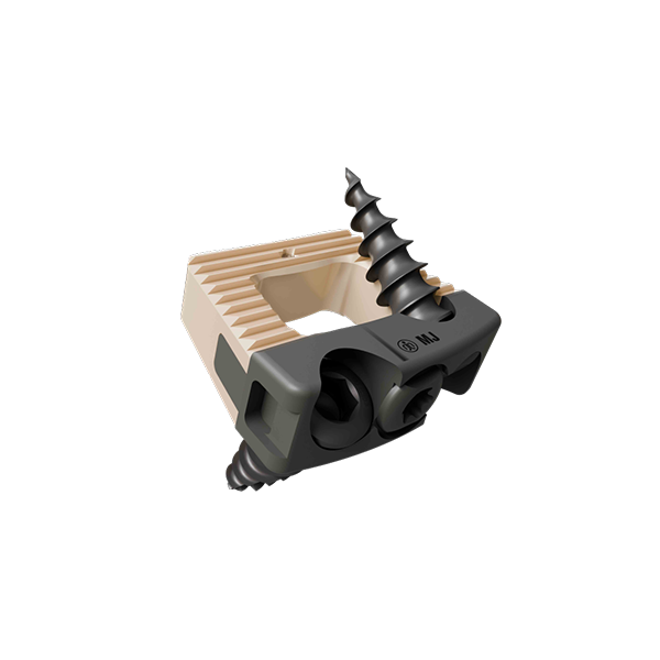 2M-Ultra : Standalone Cervical Cage - (Titanium + Peek)