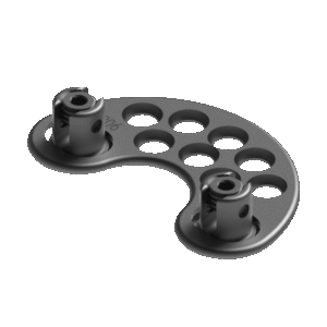 Adjustable Occipital Plate
