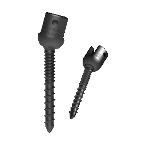 Dual Threaded Polyaxial Screw