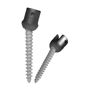 HA Coated Polyaxial Screw