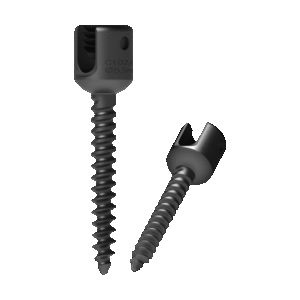Monoaxial Screw