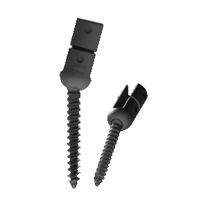Polyaxial Reduction Screw