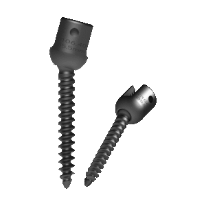 Polyaxial Screw