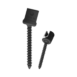 Posterior Cervical Screw