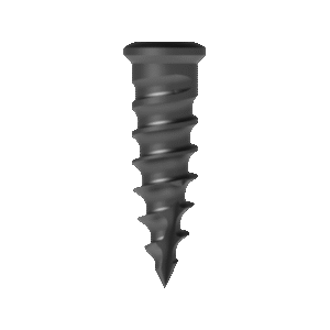 Self Drilling Screw For Cervical Plate (2)