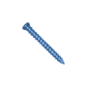 Interlocking Screw 6.0mm