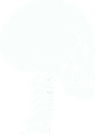 Cervical Spine