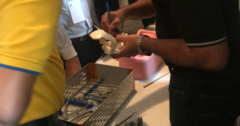 Cervical-Spine-Course