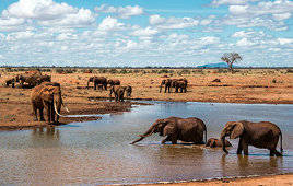 Kenya