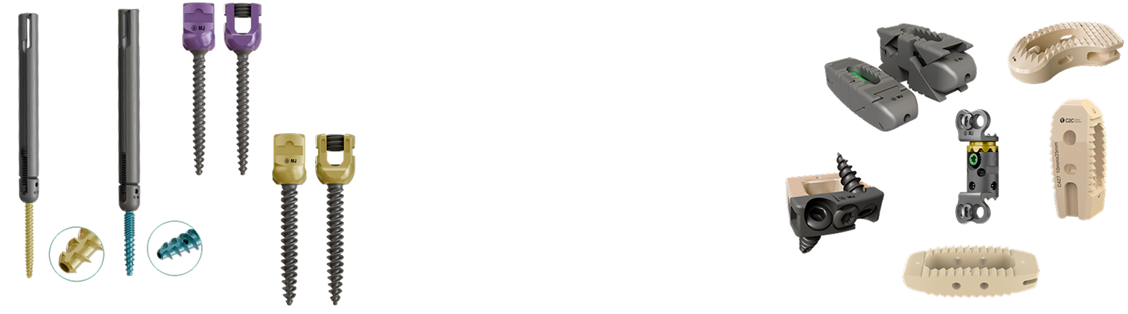 c2c spine system_img