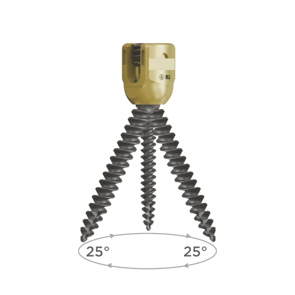 Singlelock+ : Polyaxial Pedicle Screw