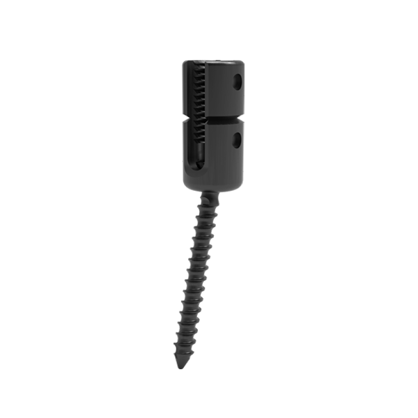 Merit : Reduction Posterior Cervical Screw