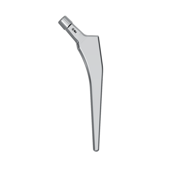 Cemented Stem