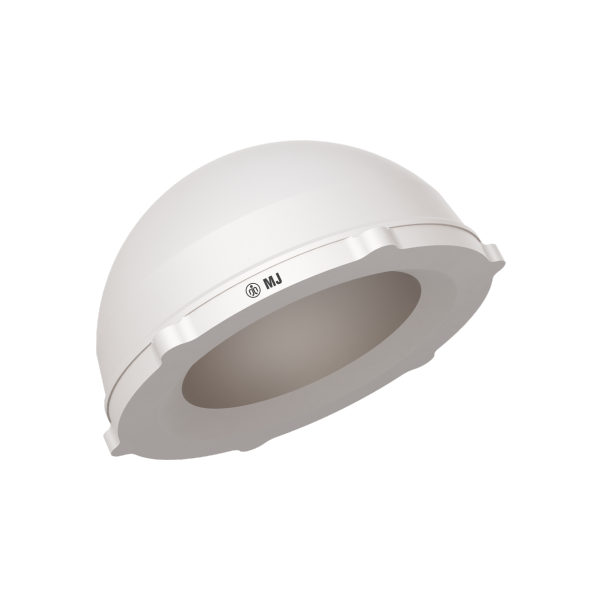 Acetabular Liner Lipped